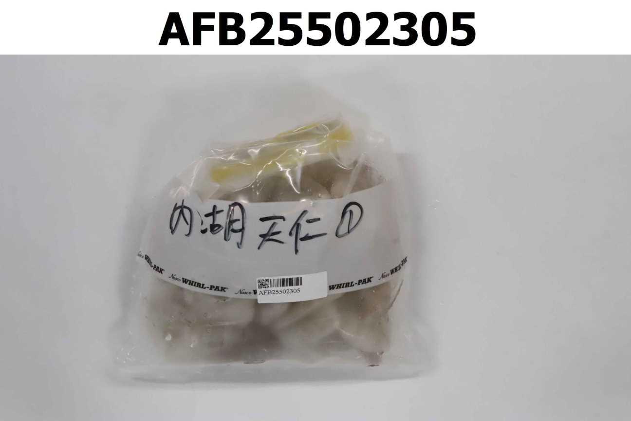 蝦仁