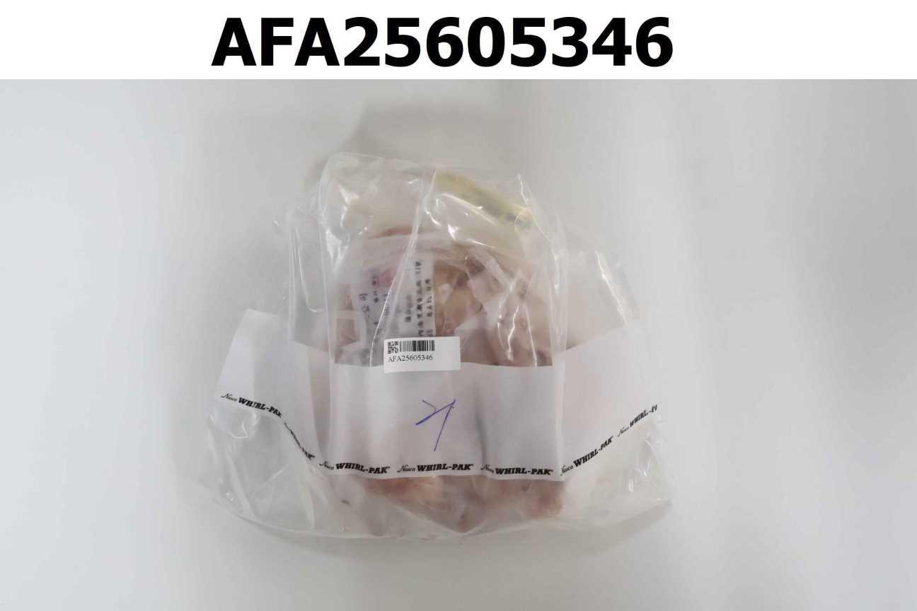 Q腿排4