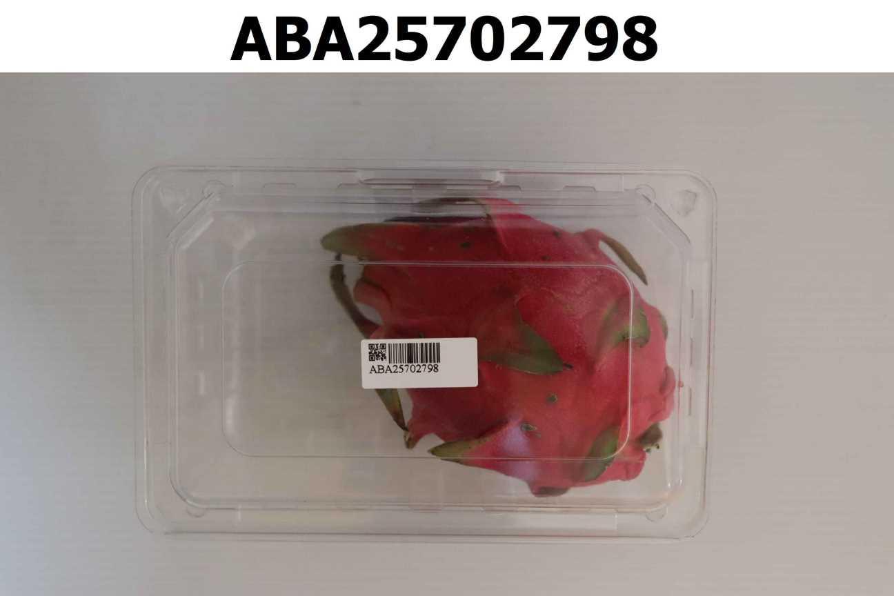 火龍果