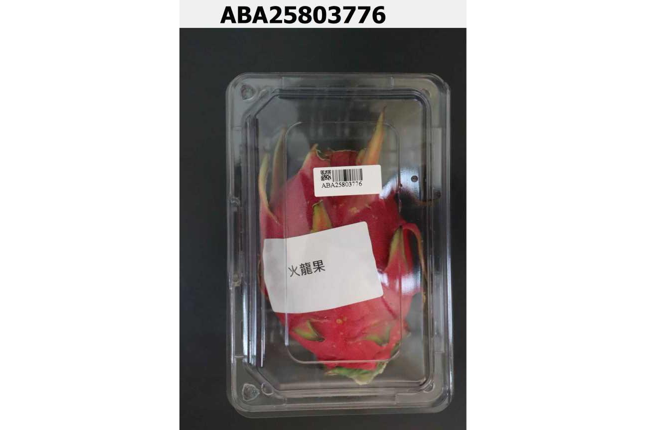 火龍果
