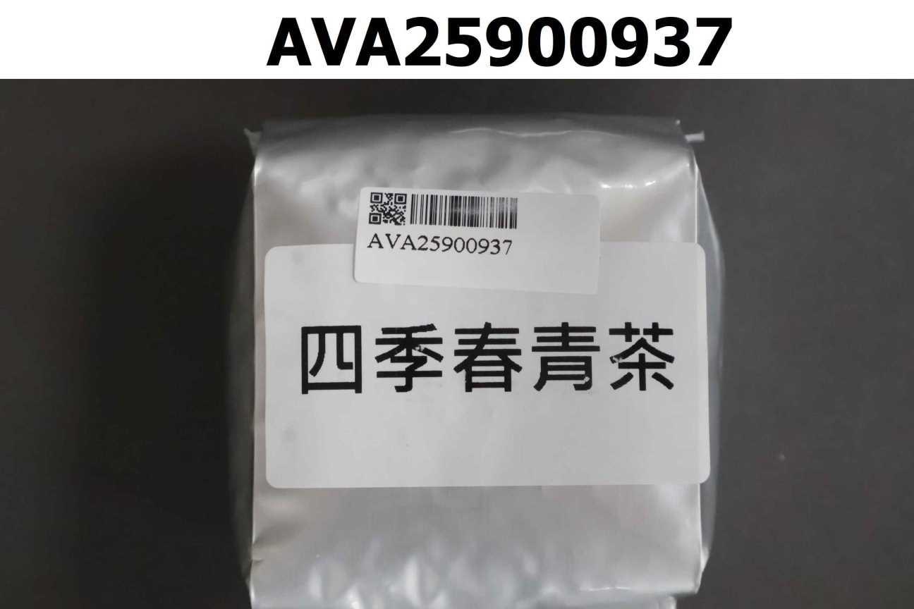 四季春青茶