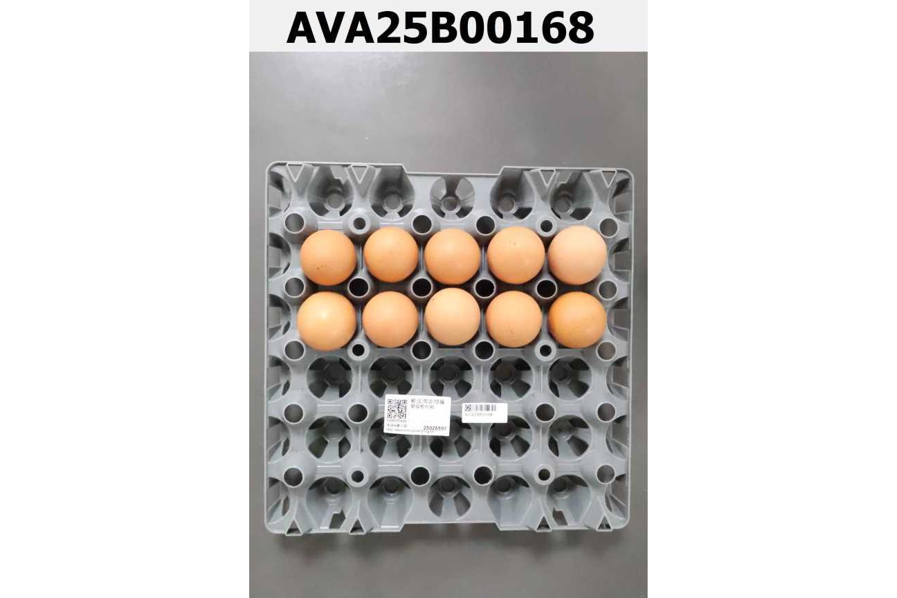 蒙福畜牧場原料紅蛋