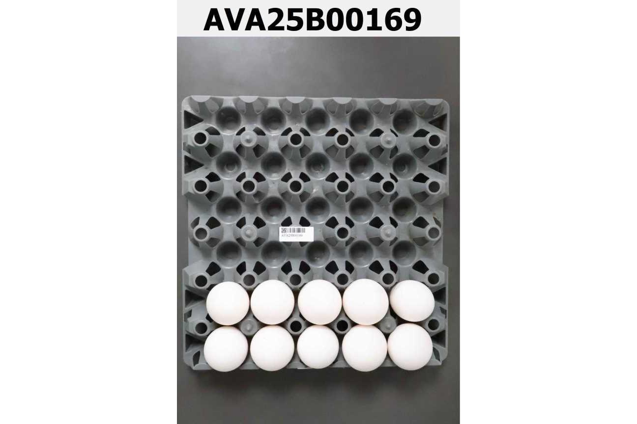 蒙福畜牧場原料白蛋