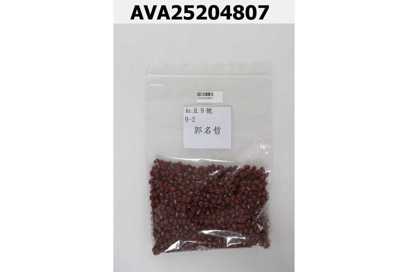 紅豆9號 9-2