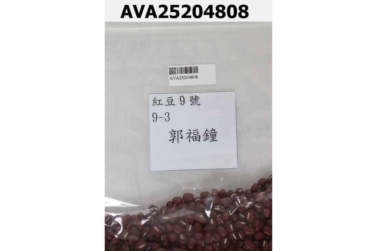 紅豆9號 9-3