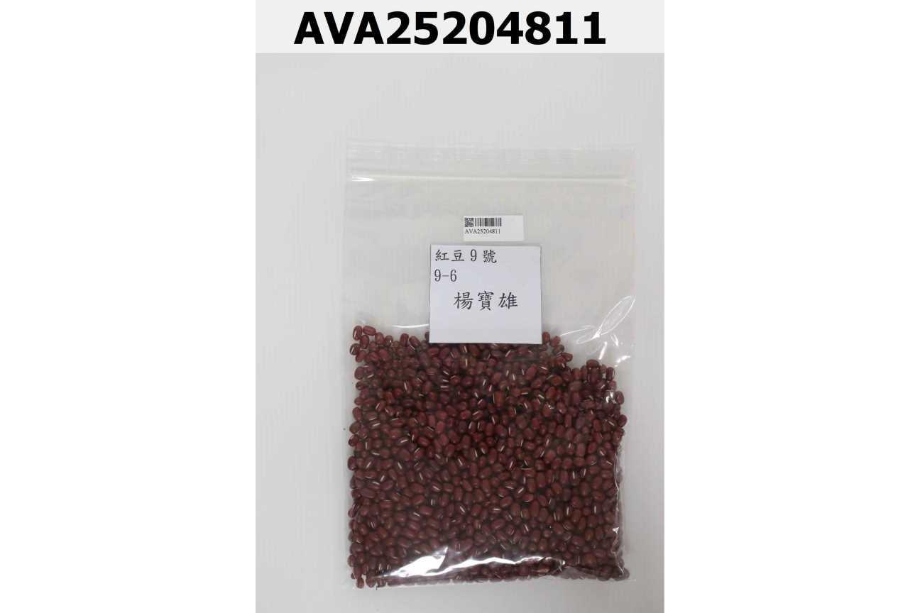 紅豆9號 9-6