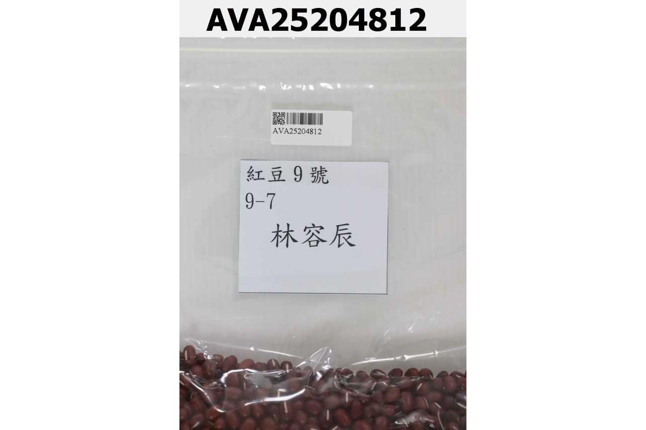 紅豆9號 9-7