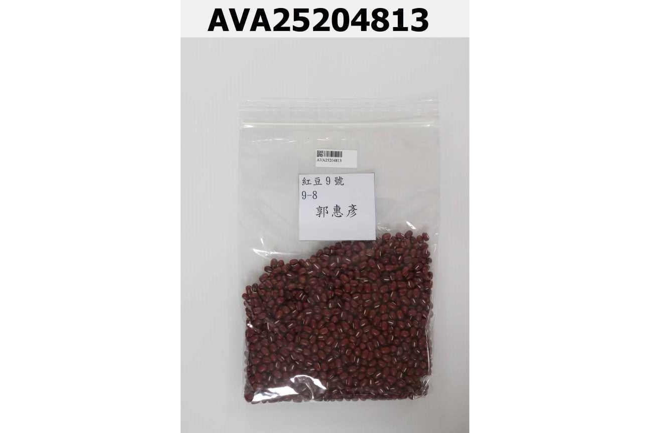 紅豆9號 9-8