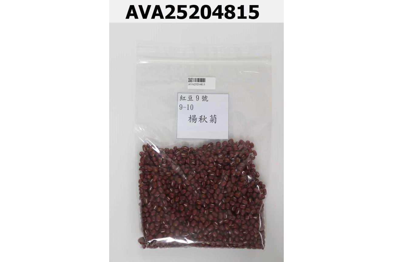 紅豆9號 9-10