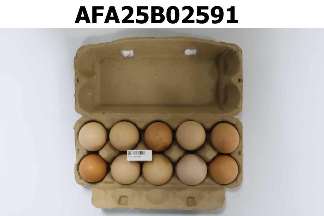 德蘊嚴選友善放牧雞蛋