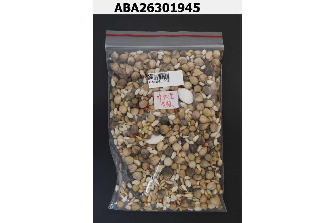 鵡集中大型有殼野性覺醒鸚鵡飼料