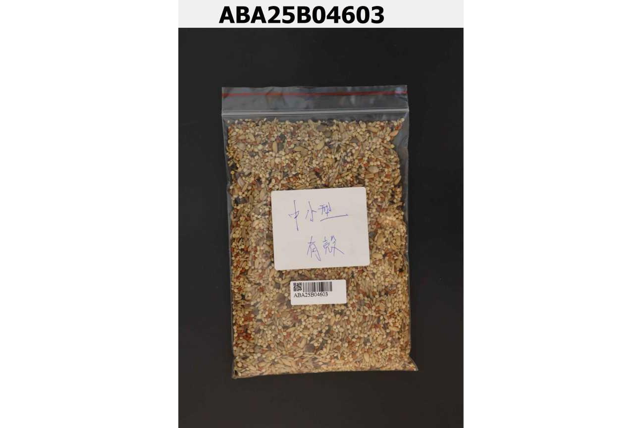 鵡集中小型有殼野性覺醒鸚鵡飼料