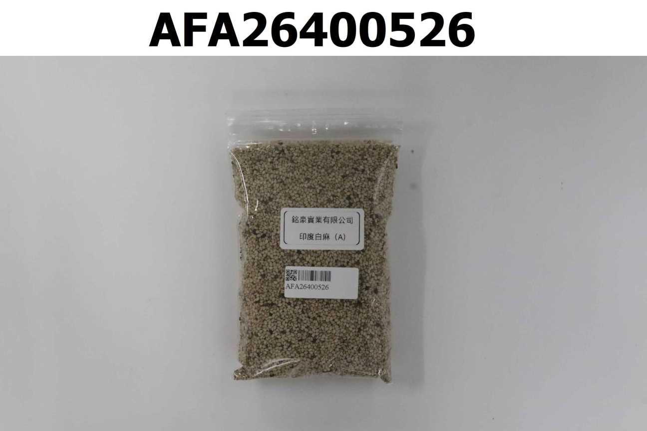 印度白麻 (A)