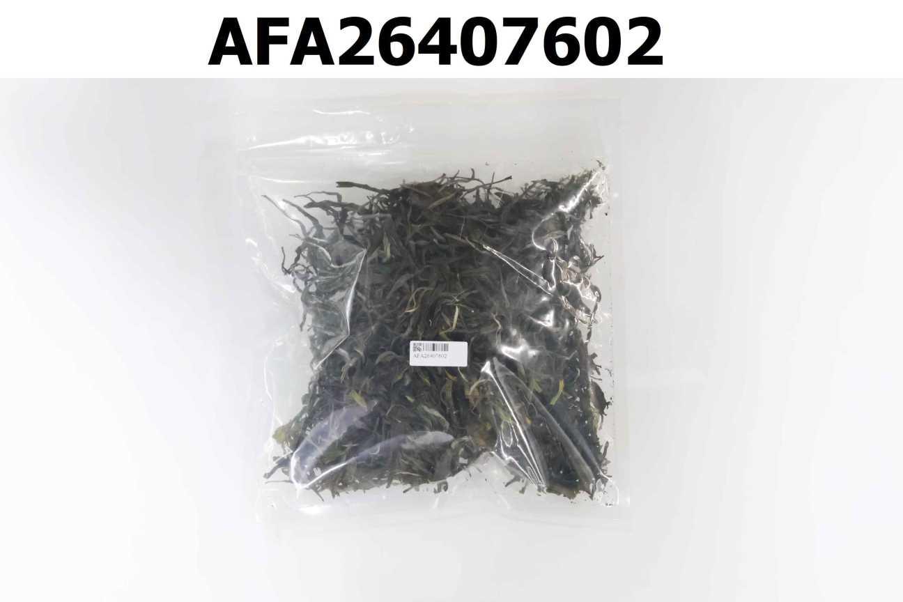 恒緣古木蘭野生古樹茶(普洱生茶~~滇青)