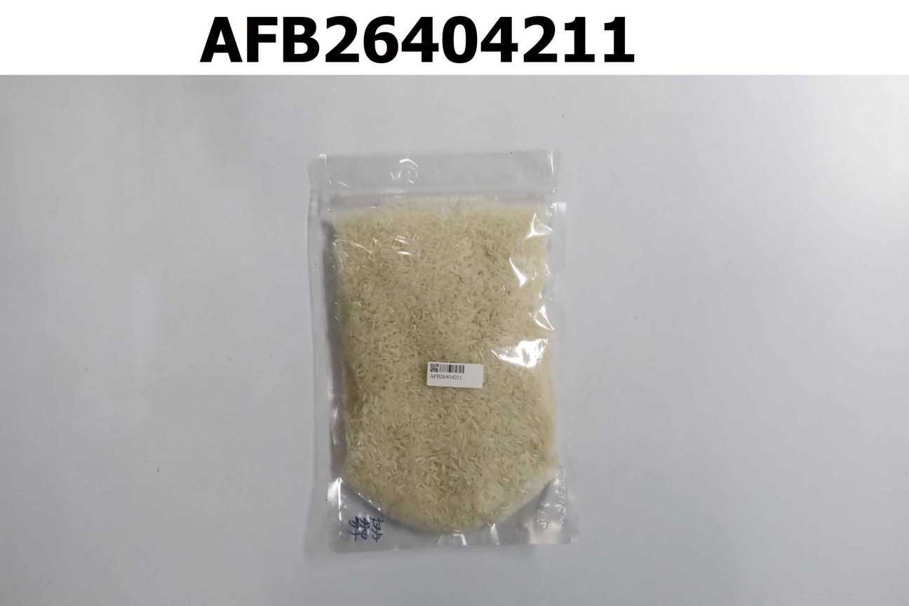 茉莉香米