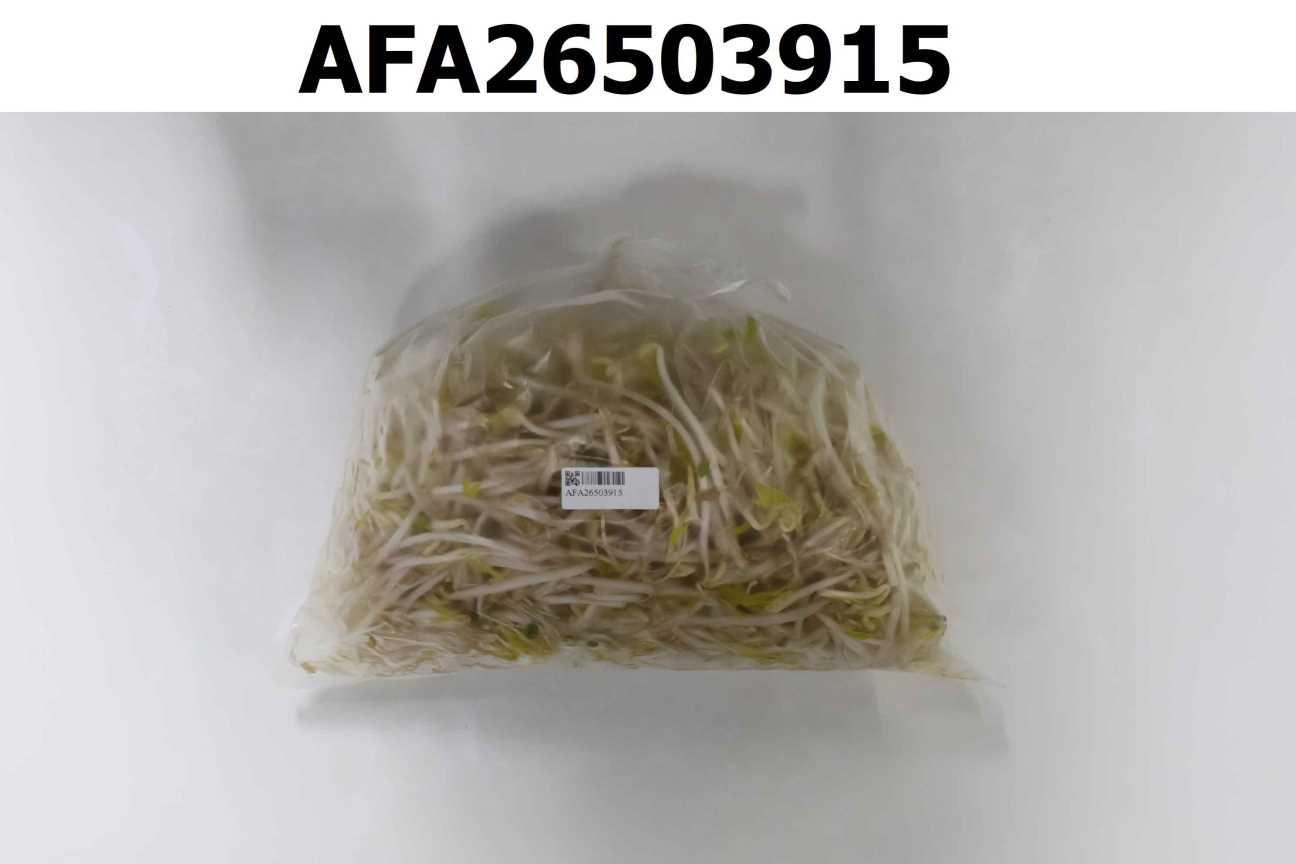 豆芽菜