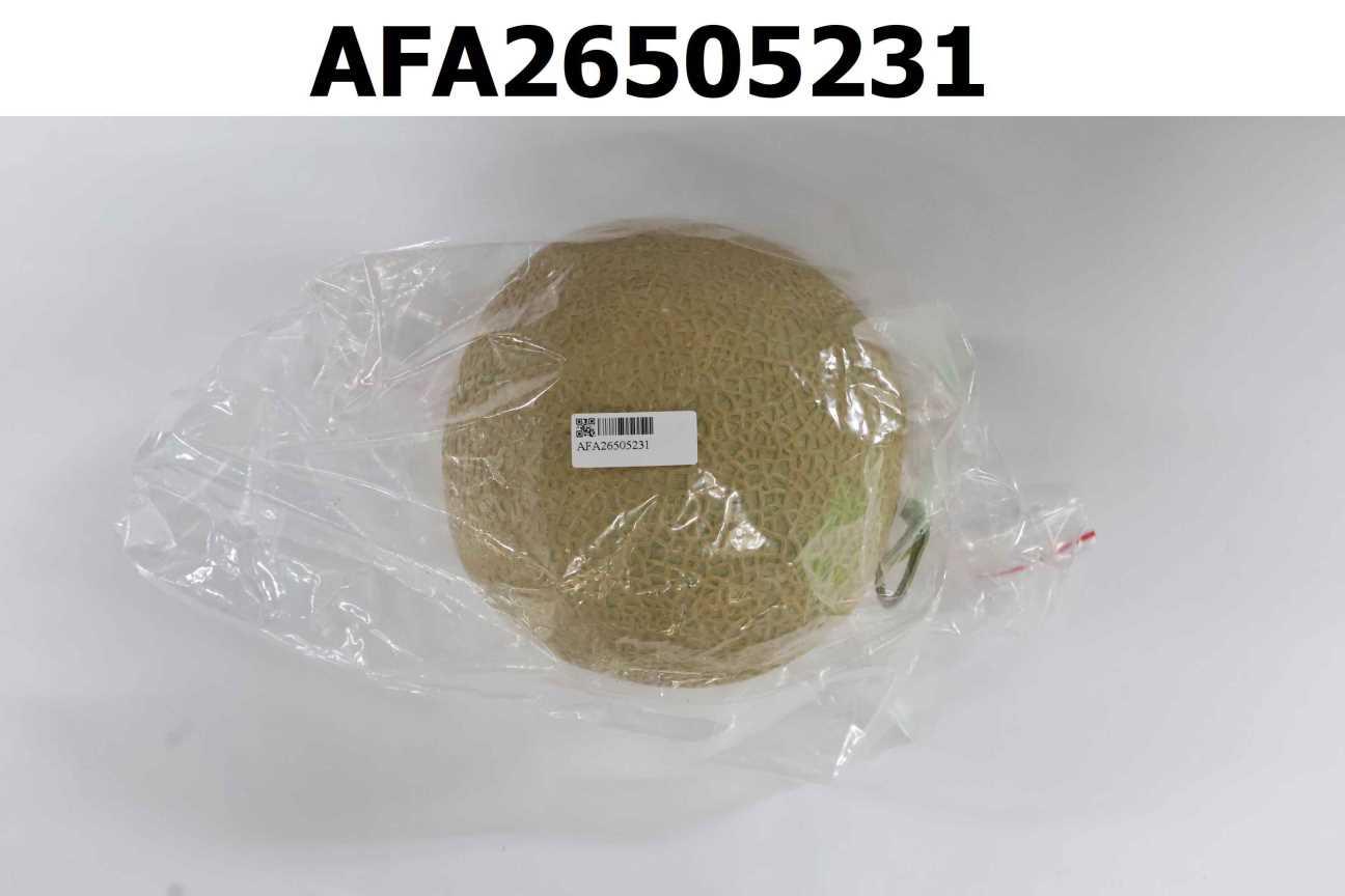 哈密瓜→高知