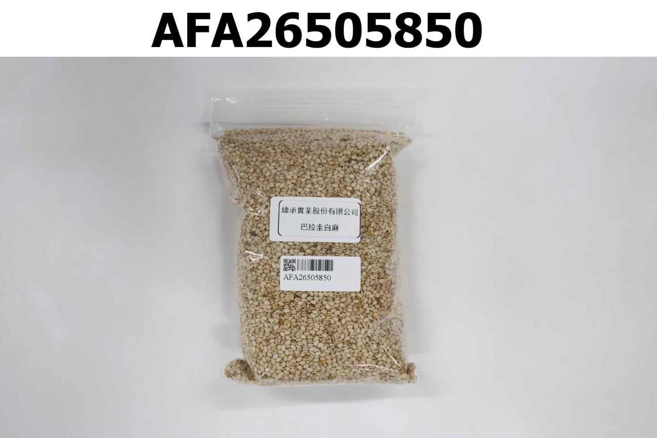 巴拉圭白麻
