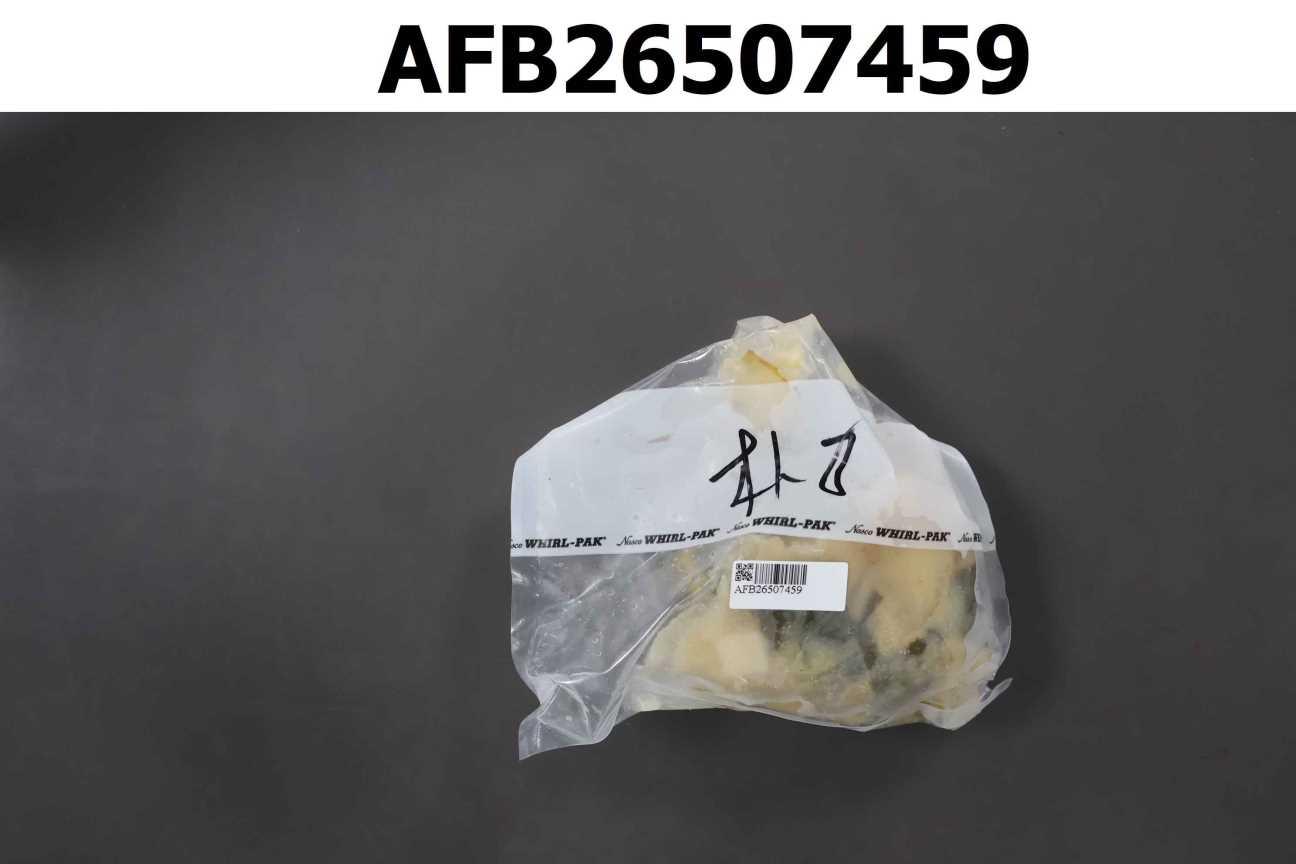 味噌湯