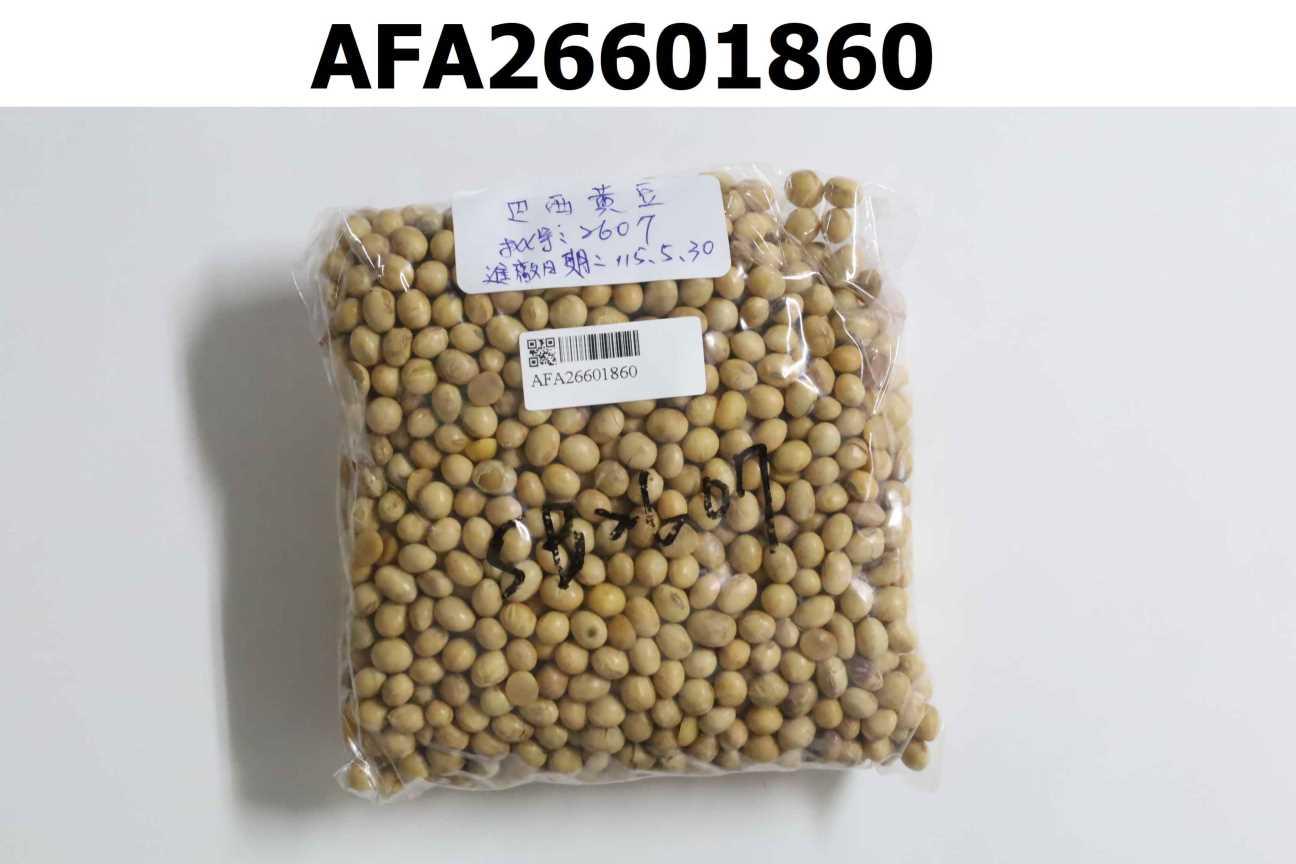 SOYBEAN 黃豆