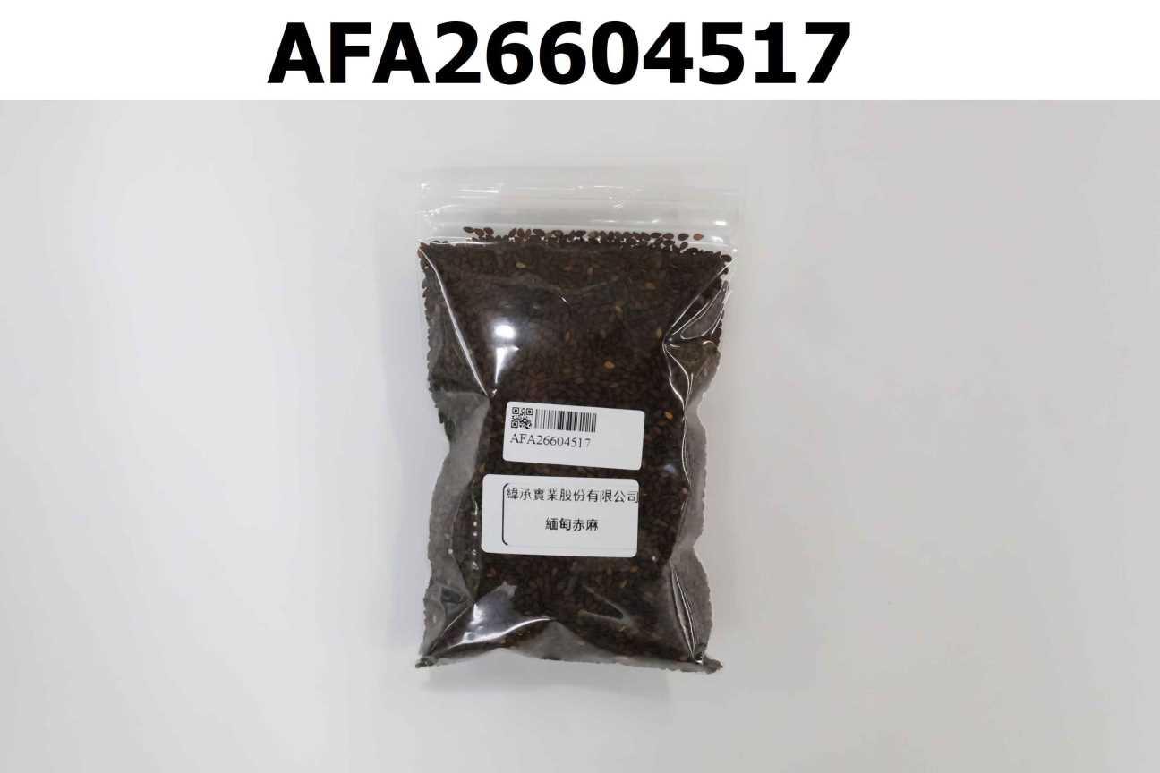 緬甸赤麻