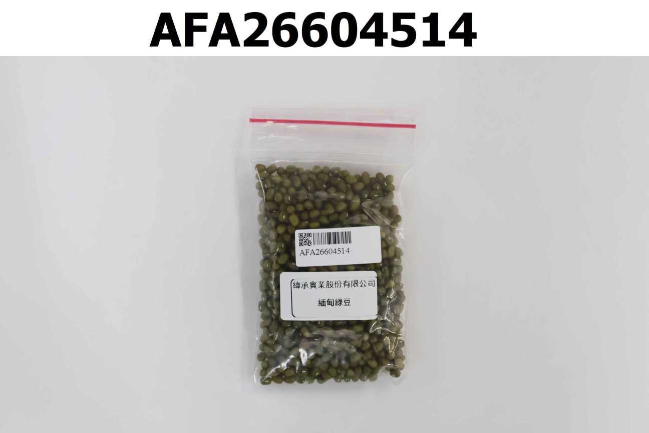 緬甸綠豆