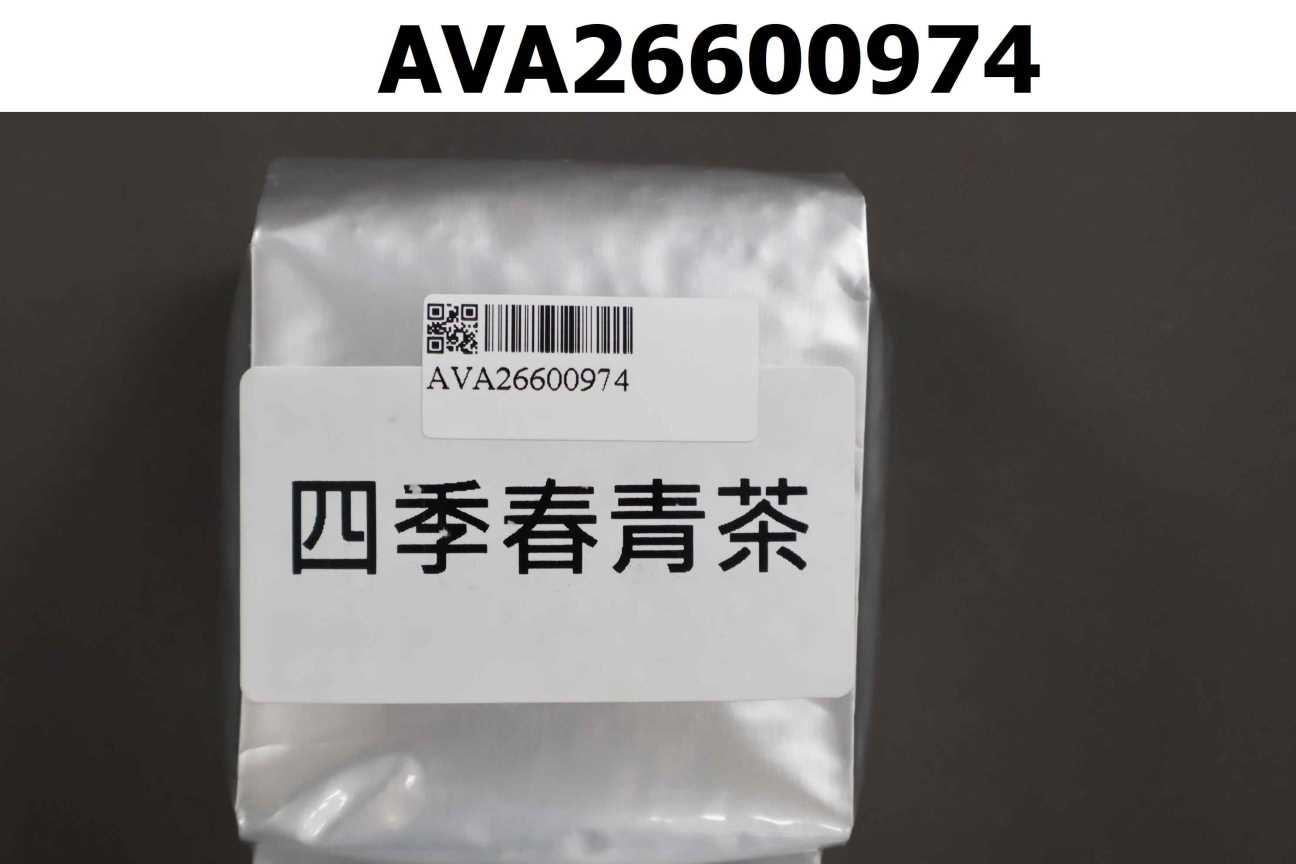 四季春青茶