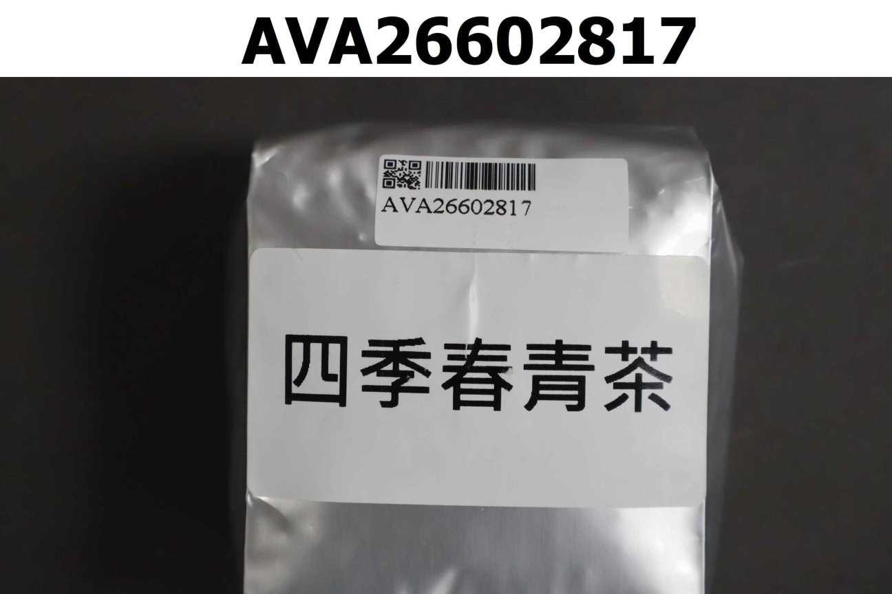 四季春青茶