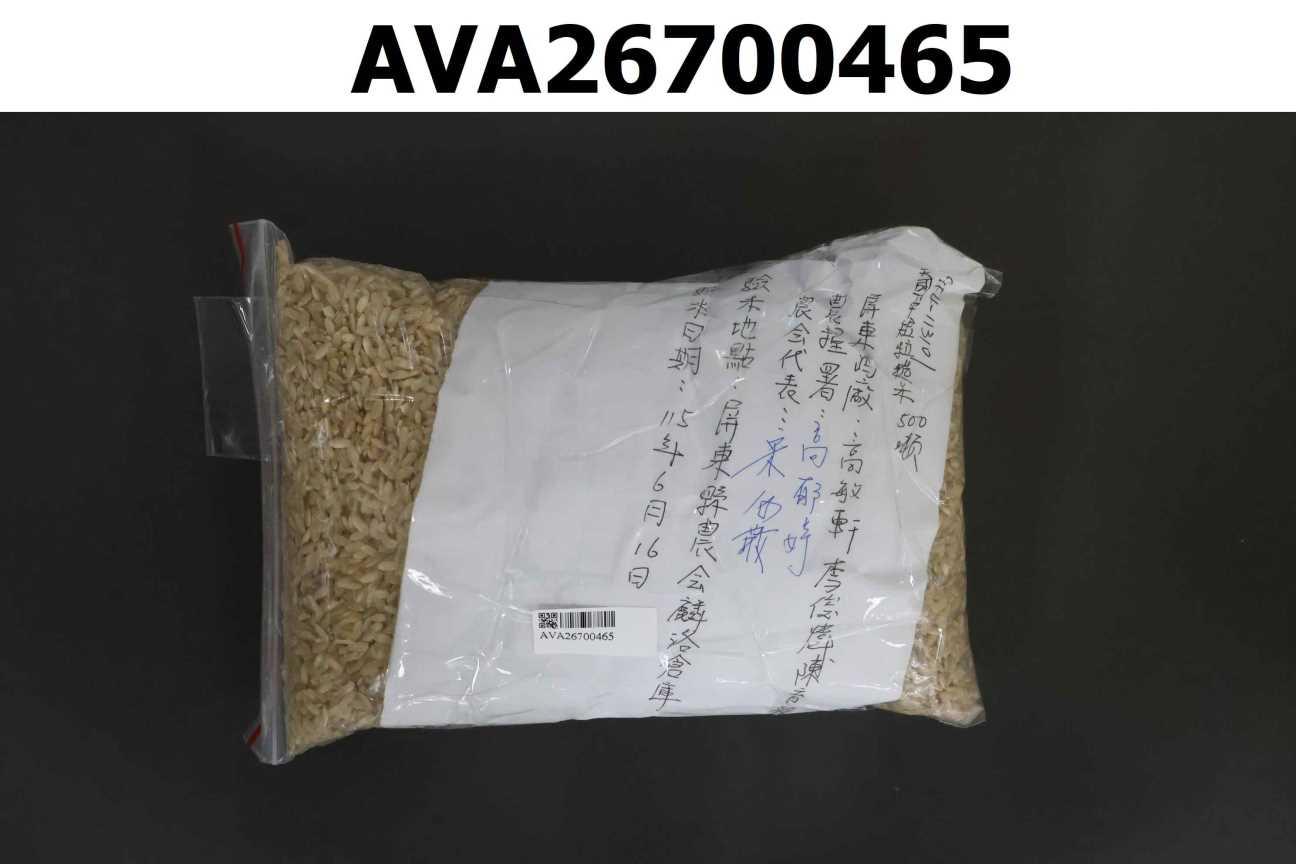 原料糙米