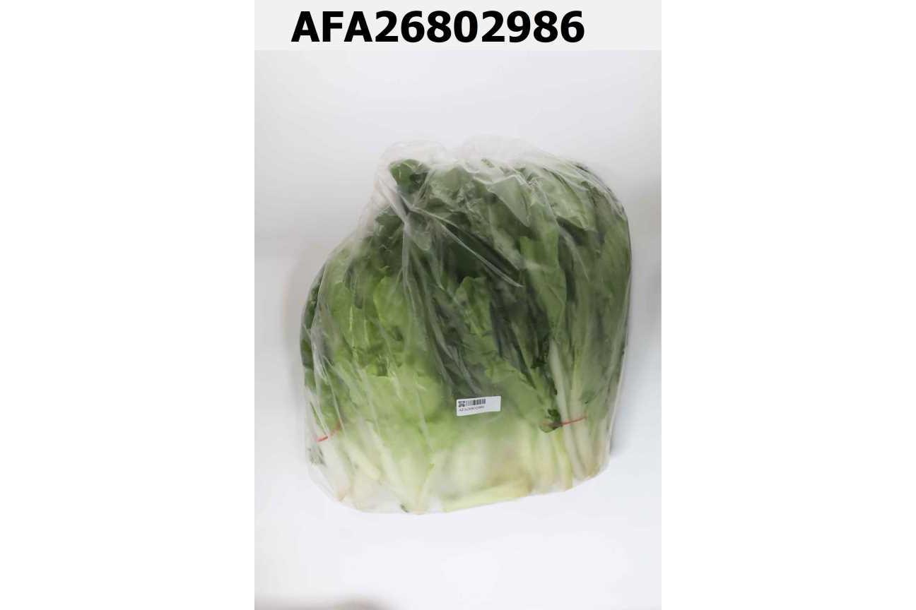 蚵白菜