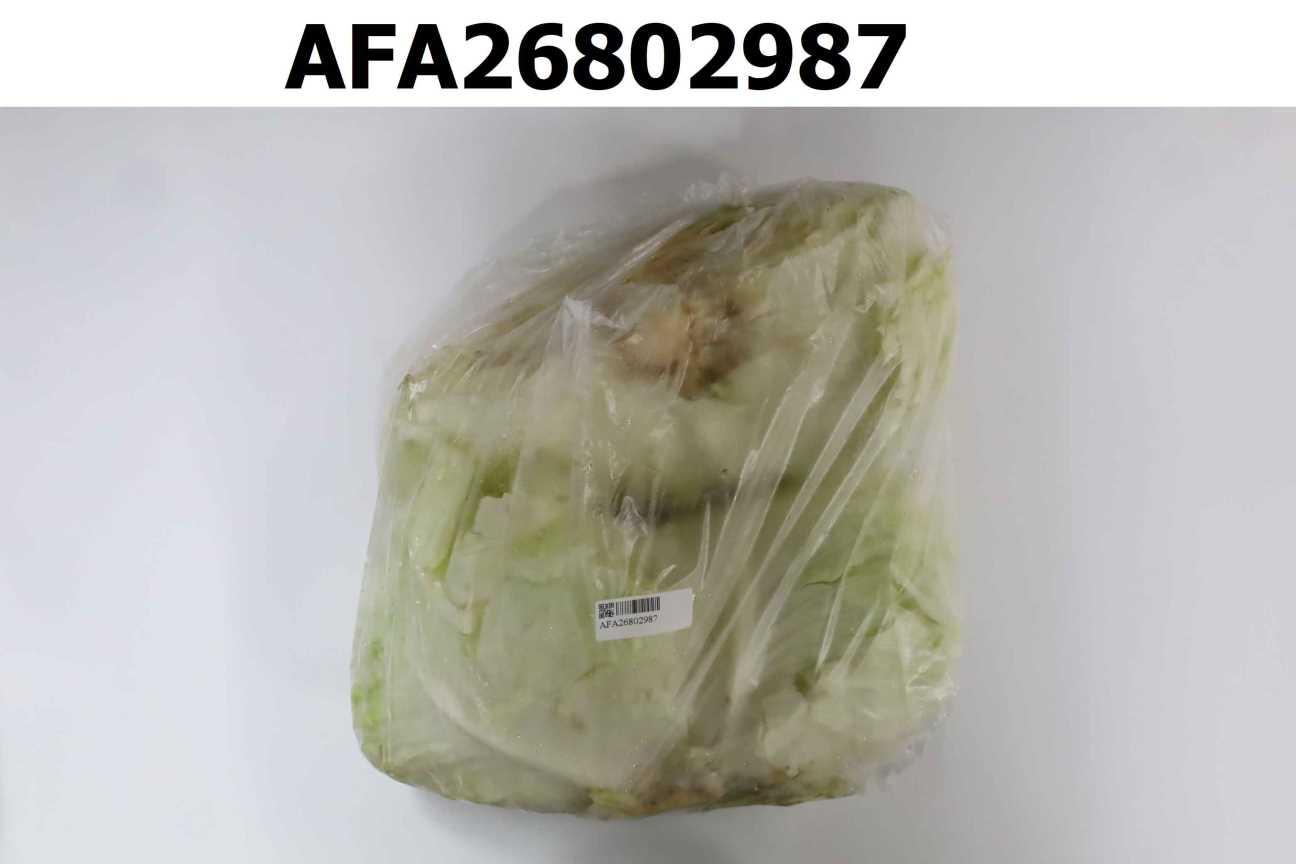 高麗菜