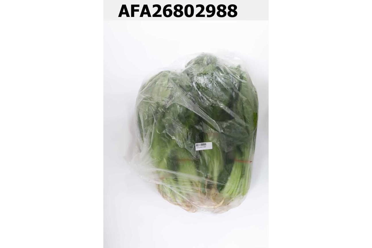 油菜