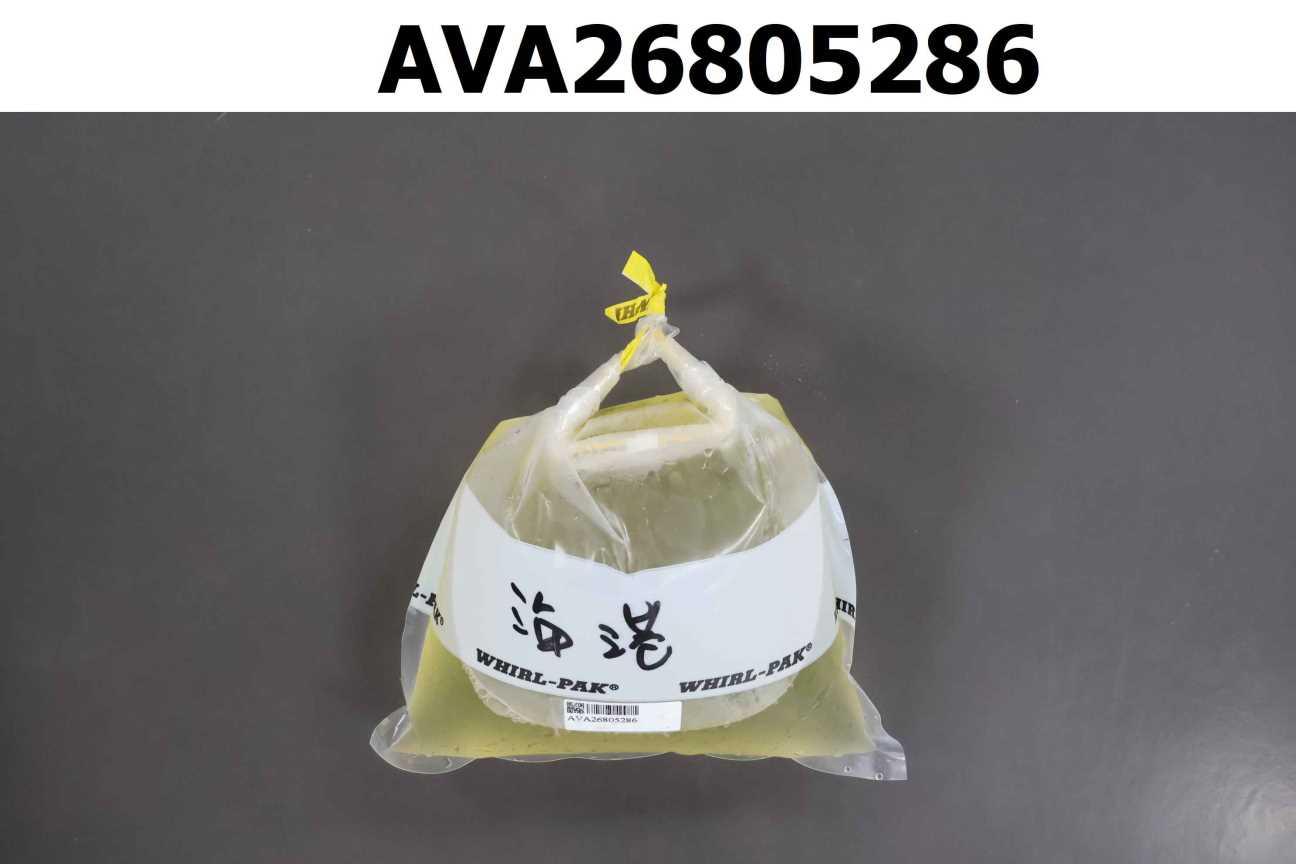 黃金蕎麥茶