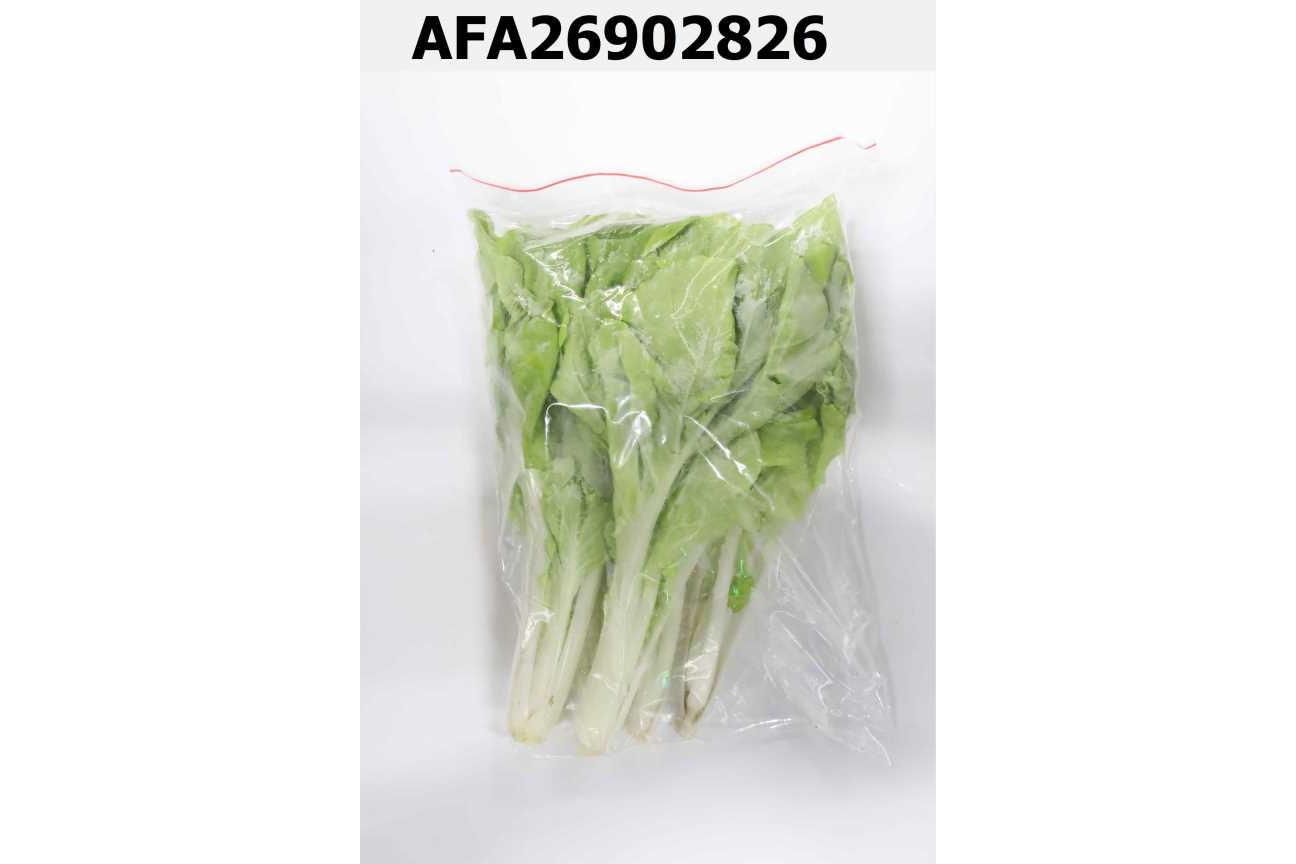 新鮮青菜-小白菜