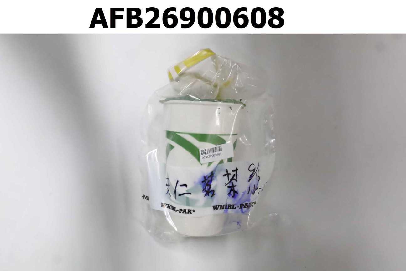 晨露茉莉綠茶